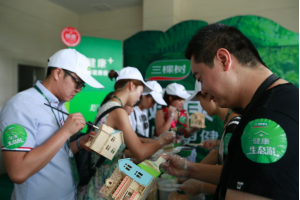 三棵树定制绿色品质旅程，来了就不想离开