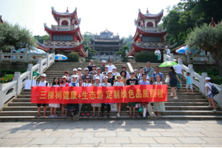 三棵树定制绿色品质旅程，来了就不想离开