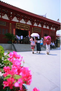 三棵树定制绿色品质旅程，来了就不想离开